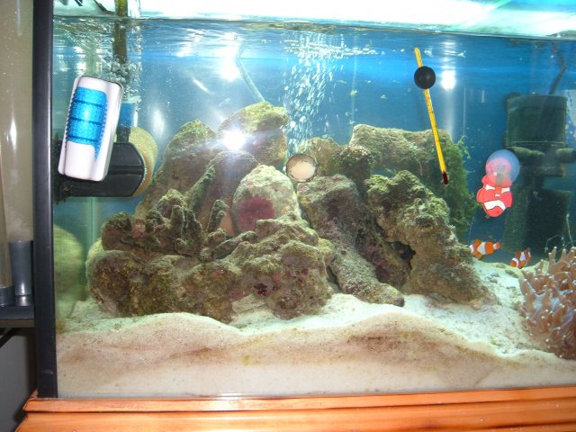 2007_1111marin0001.JPG