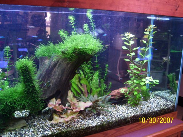 100_0643.JPG