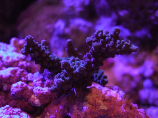 DSCF4287.JPG