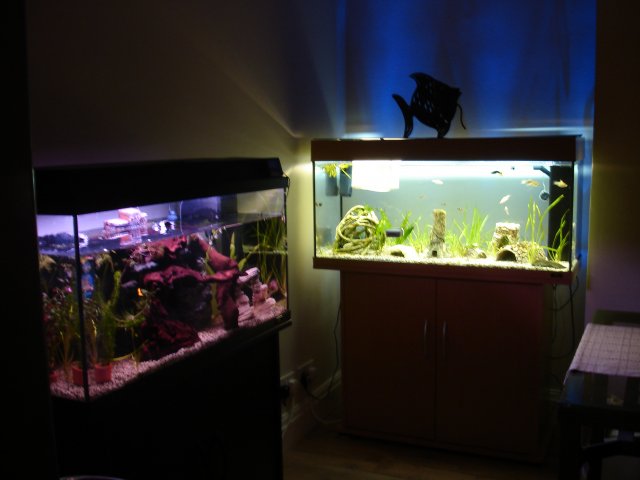 DSC00897.jpg