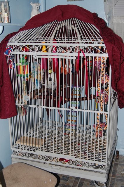 DSC_1788.JPG