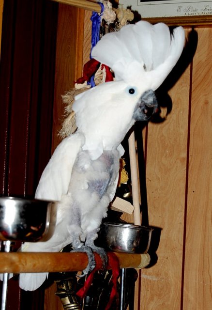 Dsc_1642.jpg