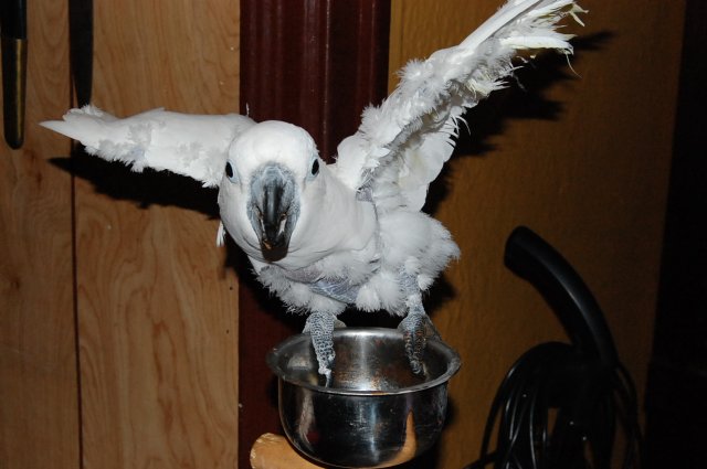 DSC_2784.JPG