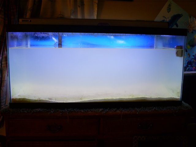 S5031083.JPG