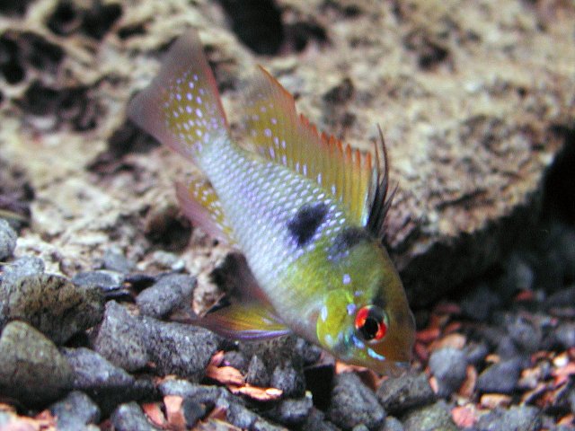 PB160152.jpg