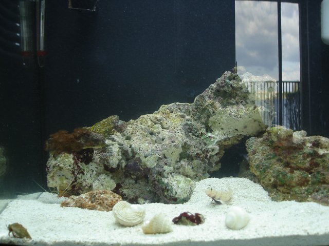 DSC00584.JPG