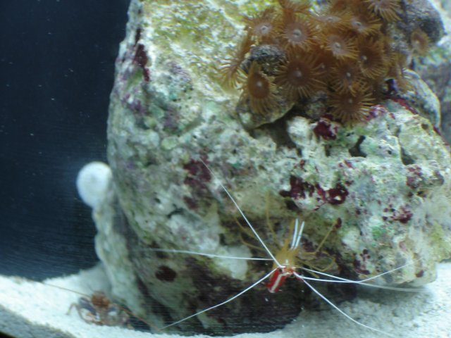 DSC00582.JPG