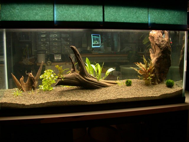 DSCN6405.JPG