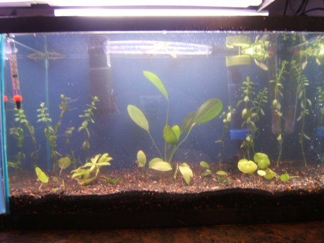 Picture 064.jpg