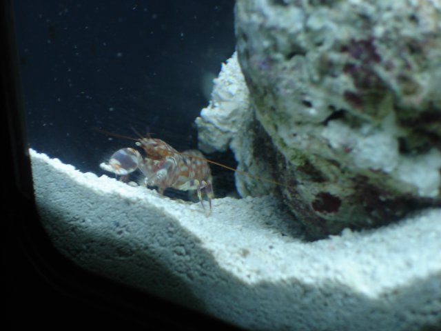 DSC00572.JPG