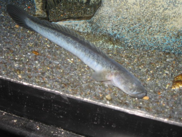 Picture 909.jpg