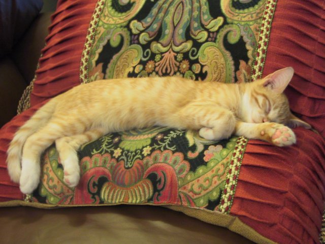 Tough_Day.JPG