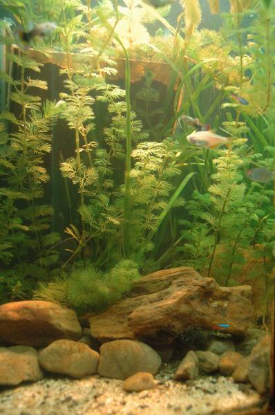 Resize of DSC_7448.jpg