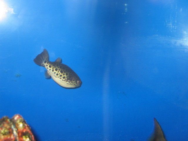 Picture 973.jpg