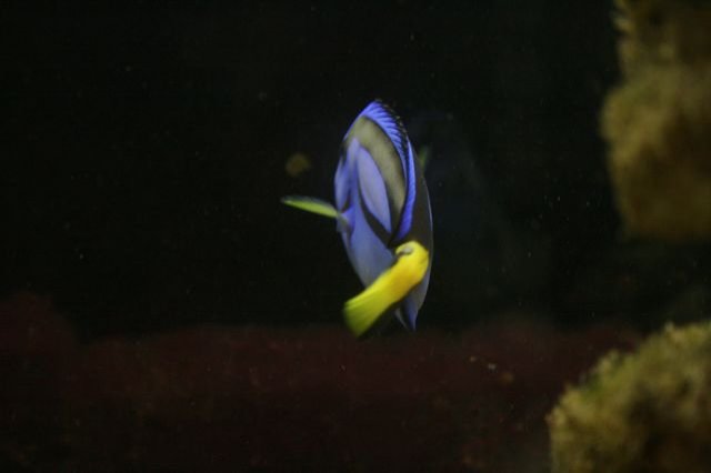 IMG_1935 [640x480].JPG