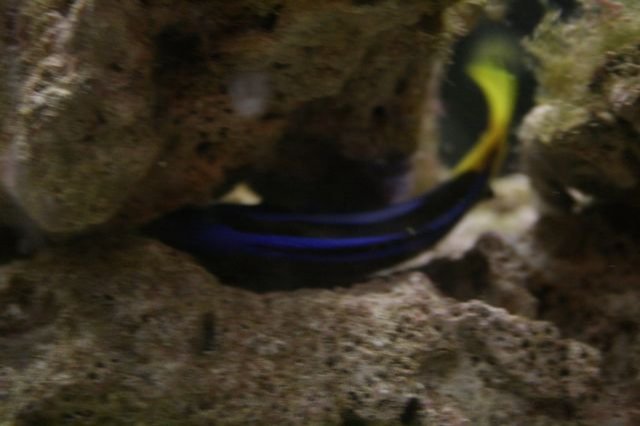 IMG_1937 [640x480].JPG