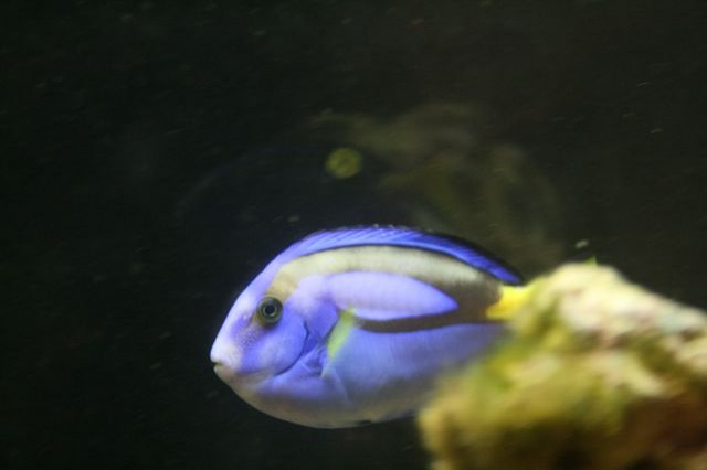 IMG_1944 [640x480].JPG