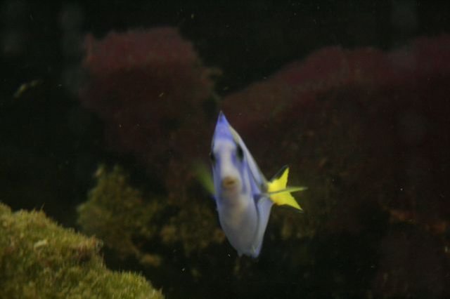 IMG_1953 [640x480].JPG