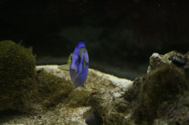 IMG_1946 [640x480].JPG