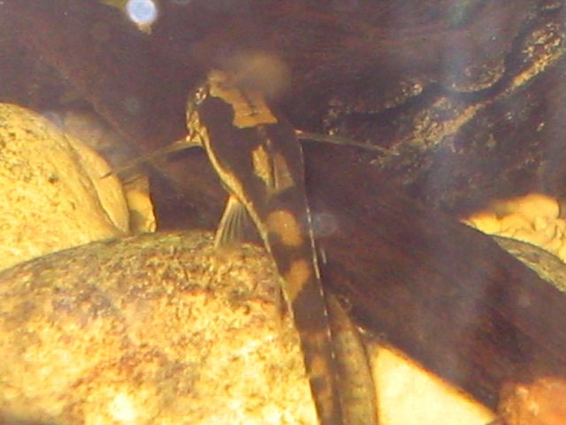 IMG_0451.JPG