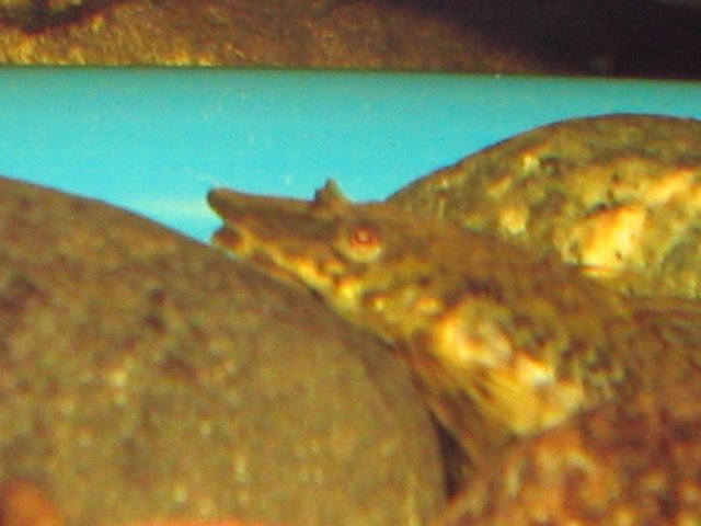 IMG_0459.JPG