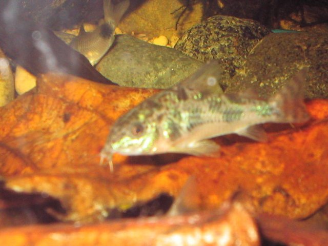 IMG_0456.JPG