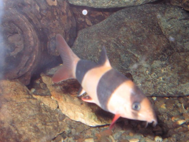 IMG_0474.JPG
