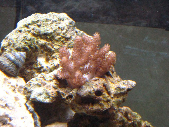 IMG_0774.jpg