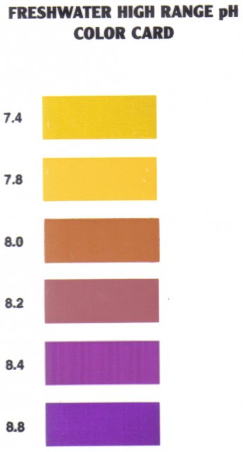 api freshwater high range pH test card.jpg