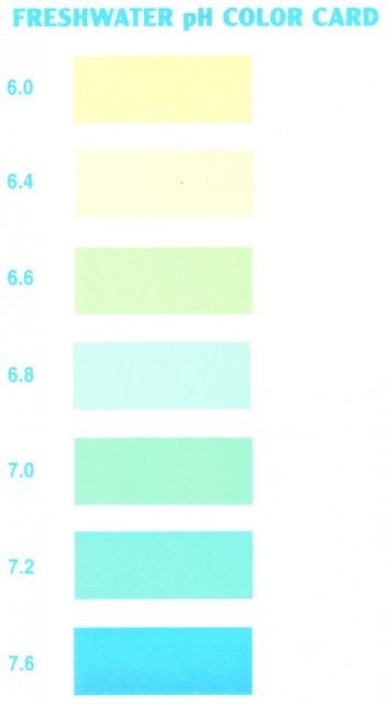 api freshwater pH test card.jpg