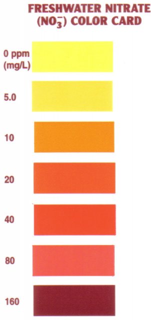 api nitrate test card.jpg