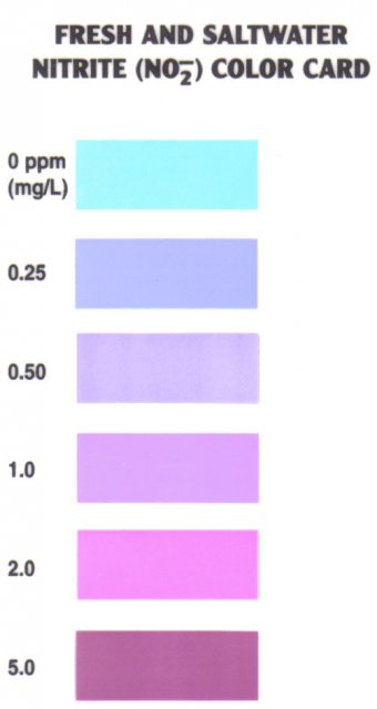 Nitrite Color Chart