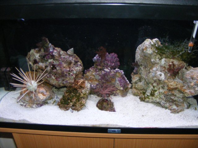 2007_1201cameranew0004.JPG