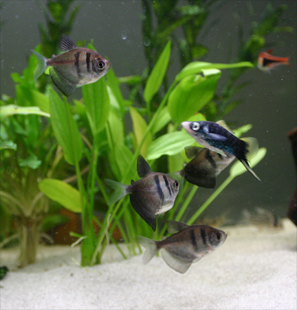 Untitled-1.jpg Untitled-1.jpg