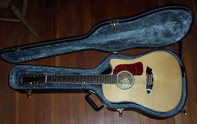 12-String-Washburn.jpg