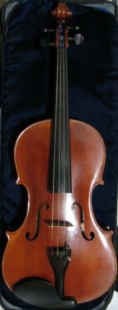 viola.JPG