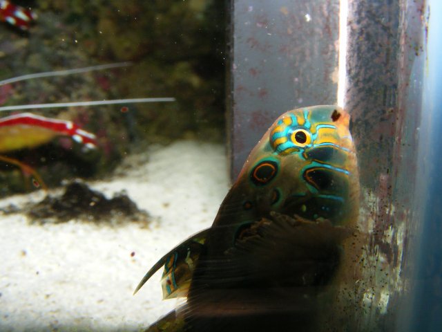 2007_1203cameranew0004.JPG