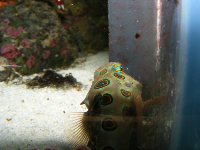 2007_1203cameranew0005.JPG