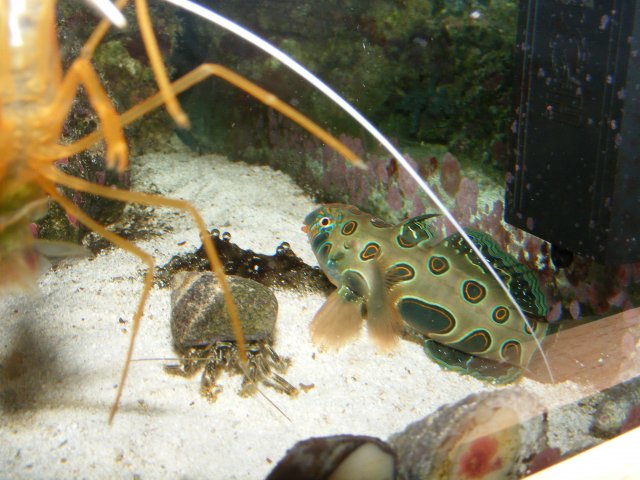 2007_1203cameranew0009.JPG
