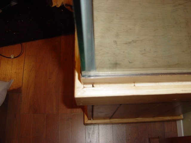 DSC05620.JPG