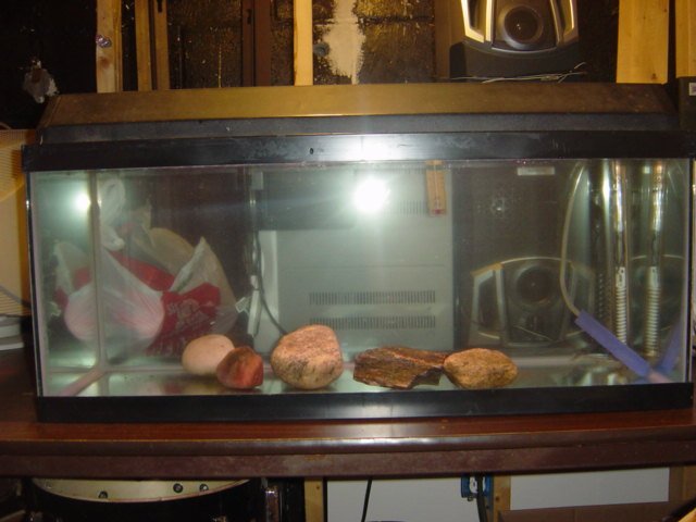 DSC05624.JPG