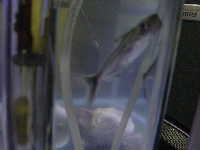 DSC05627.JPG