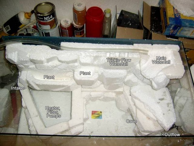 paludarium_1_04.jpg