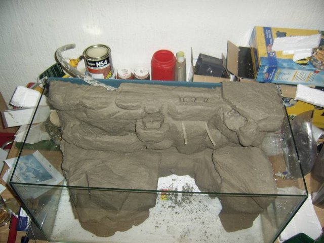 paludarium_1_05.jpg