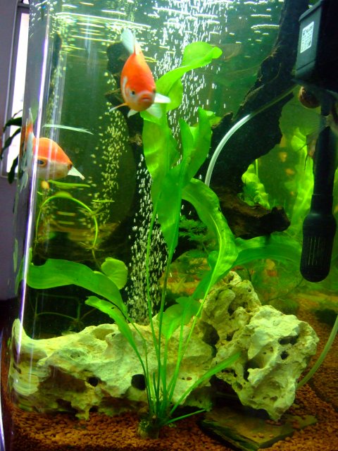 DSCF0320.jpg