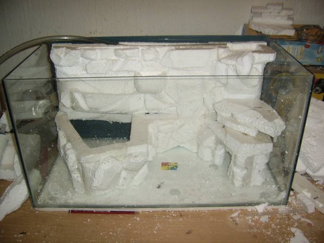 paludarium_1_03.jpg