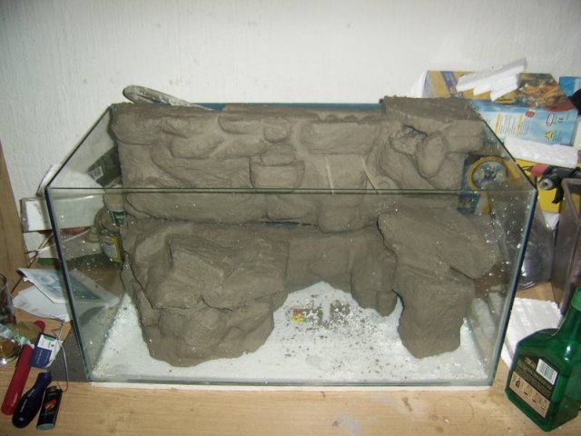 paludarium_1_06.jpg
