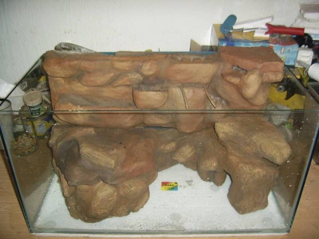 paludarium_1_07.jpg
