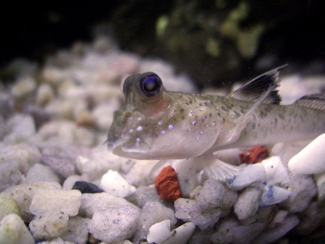 SSA45059.JPG