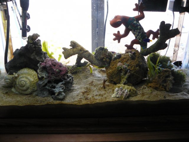 tank_12-12-07.jpg
